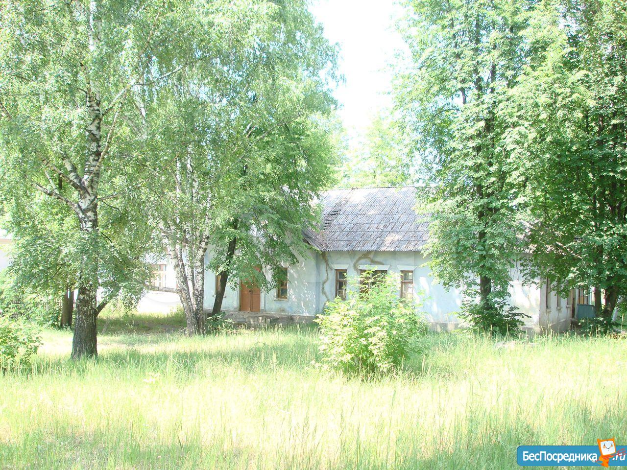 Поселок чистое нижегородской. Чистое Борское Нижегородская область. Чистоборское Бор. Поселок Бор.